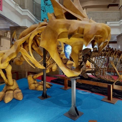 Pokemon Fossils, Along With Real Dinosaurs, Are Coming To America Next Year