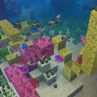 How To Find, Harvest, And Use Minecraft Coral