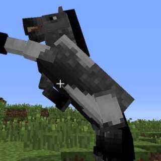 How To Find, Tame, Ride, And Breed Minecraft Horses